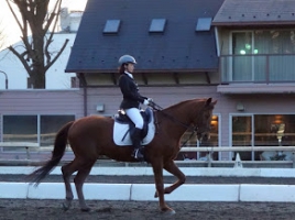 2014_trc_bolero 2014_trc_bolero