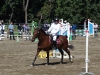 imgp0778