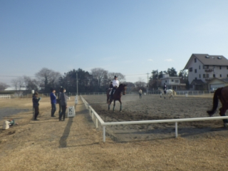 見学も真剣です