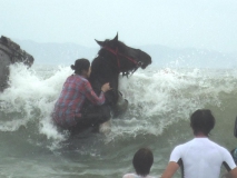 海水浴外乗 波が来た～！