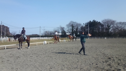 2015_Dressage class