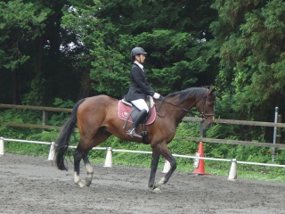 10thHF_dressage