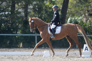 34th_Final_Dressage_Winner