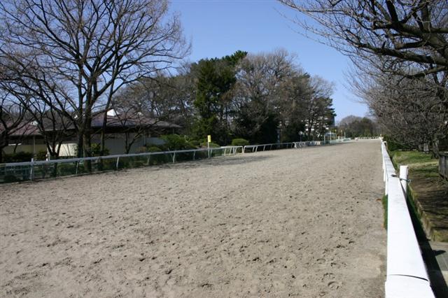 parktrack
