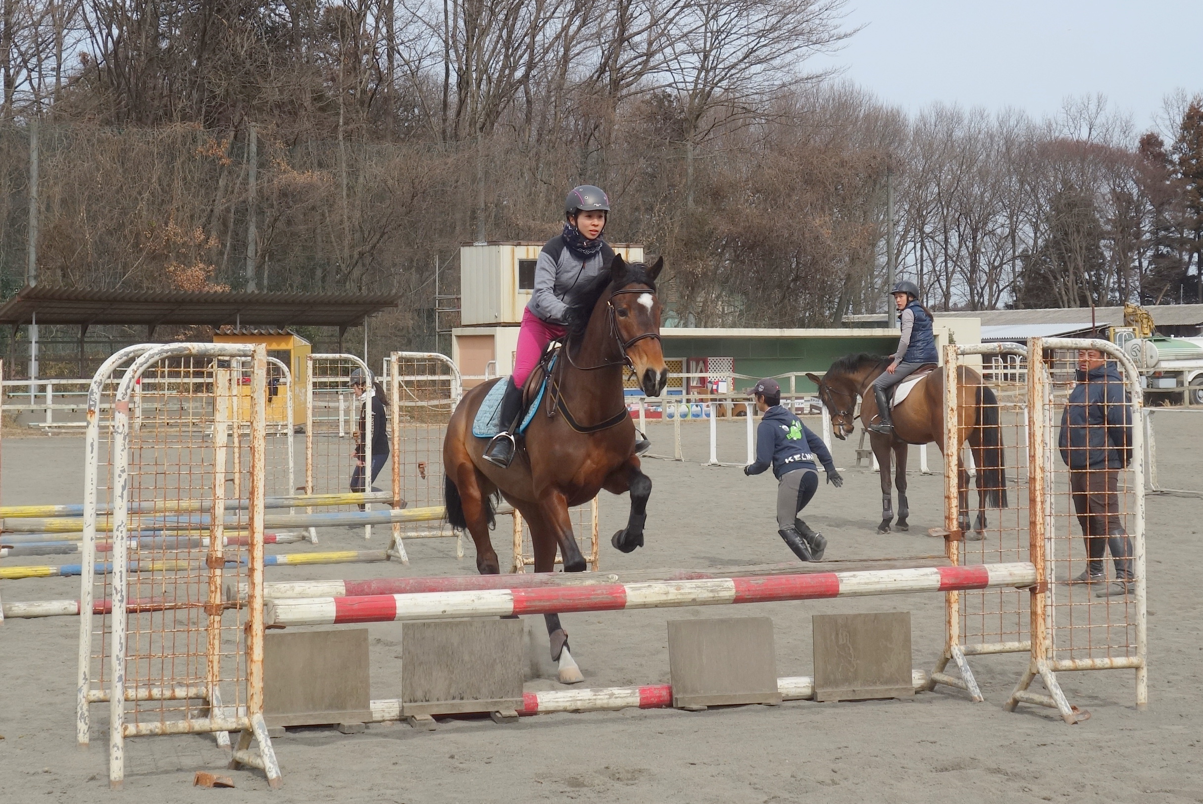 中上級障害馬術講習会 開催レポート 日本社会人団体馬術連盟