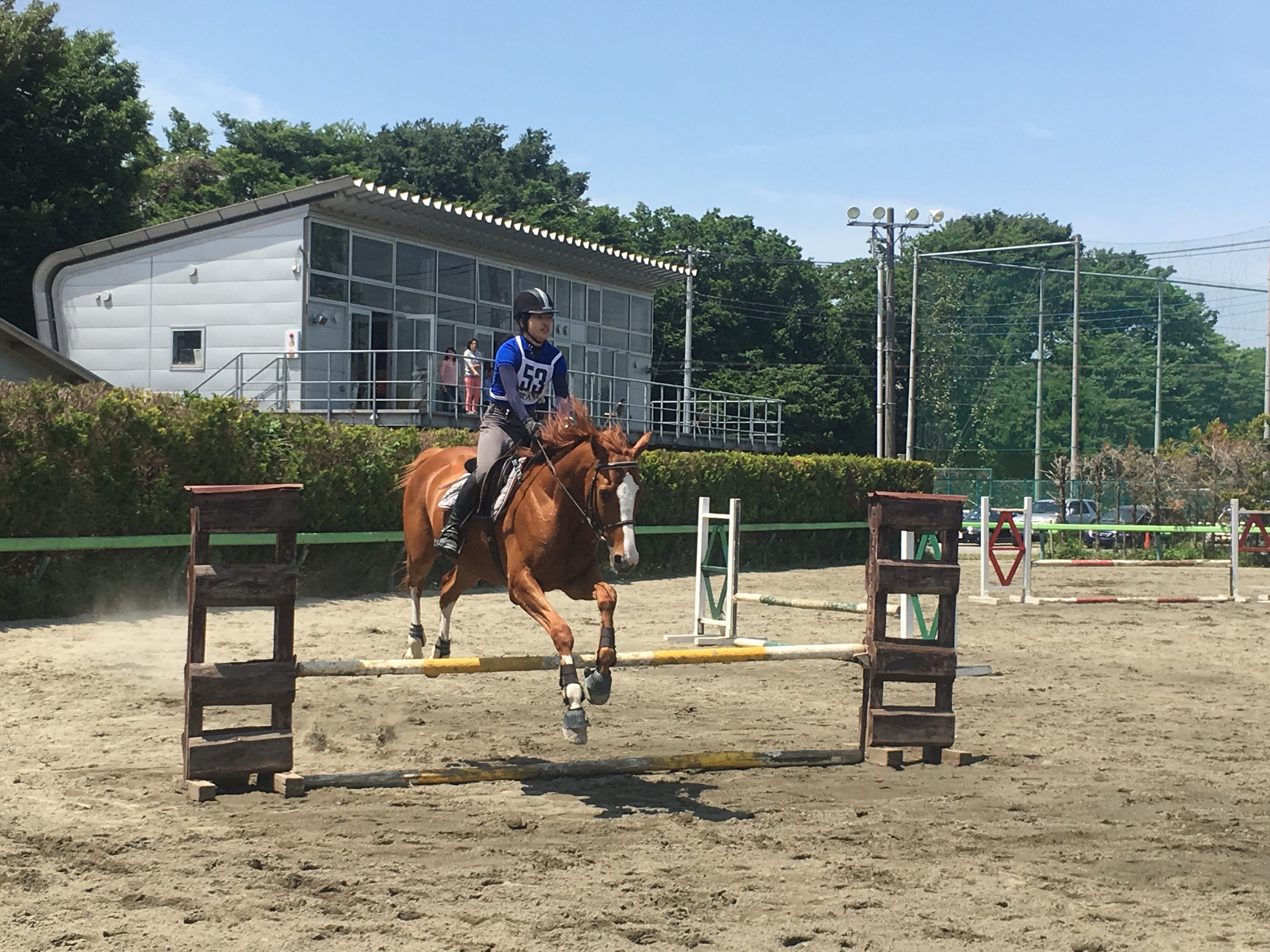 馬術技能資格 グレード審査会 開催レポート 結果報告 18年 東京1 日本社会人団体馬術連盟