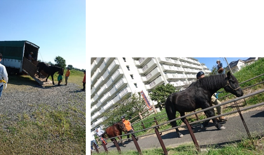 会場まで引馬で移動